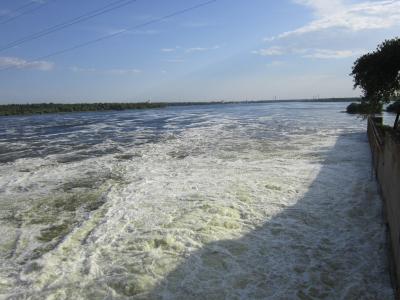 Прикрепленное изображение: IMG_0858.JPG